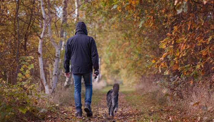 dog walking benefits for humans